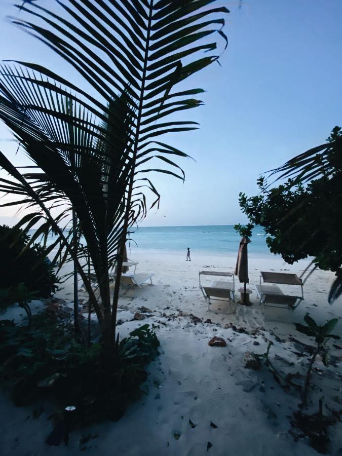 Crystal Beach Nungwi Bagian luar foto